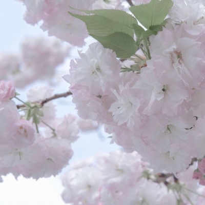 Furry绘画配色指南兽圈社群